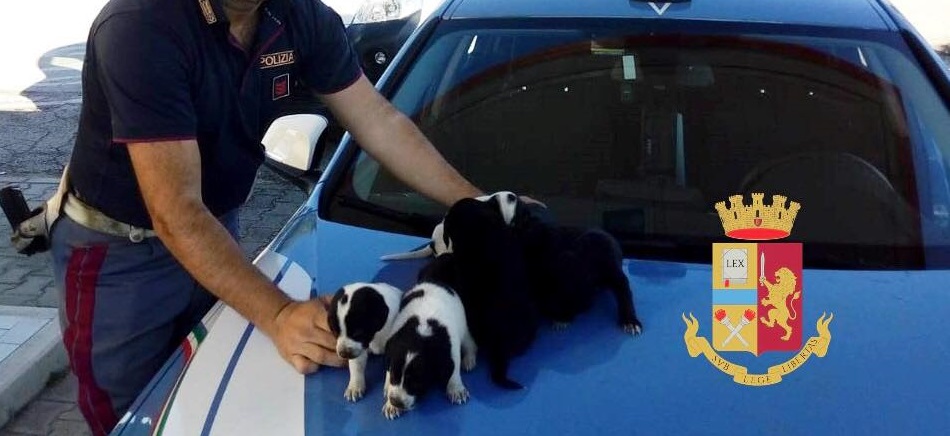 animali salvati polizia